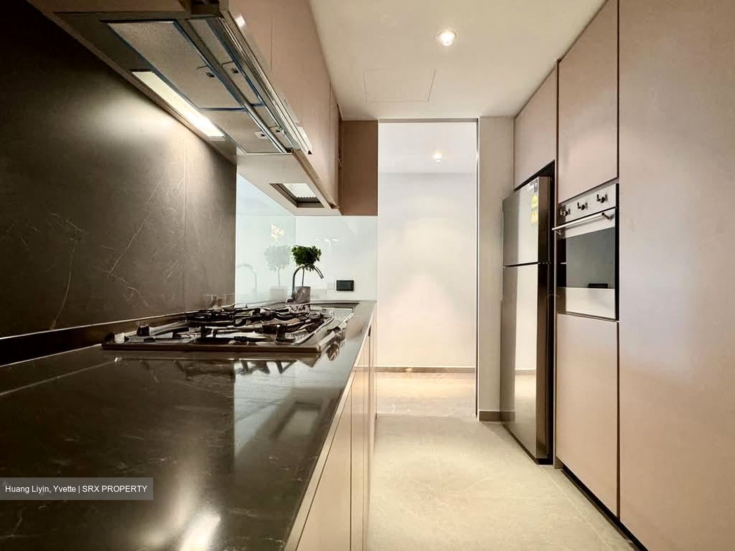 Kopar At Newton (D9), Apartment #563203681